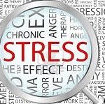 Rischio stress